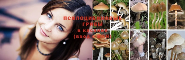 спайс Нефтегорск