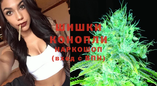 дмт Болхов