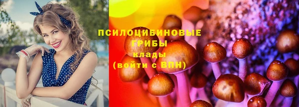 не бодяженный Нефтекумск