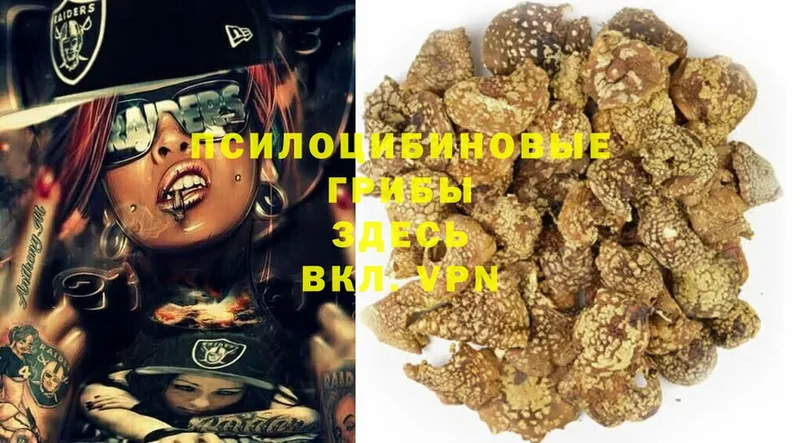 Галлюциногенные грибы MAGIC MUSHROOMS  Мураши 